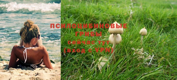 не бодяженный Карпинск