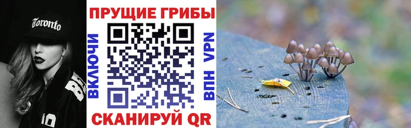 Галлюциногенные грибы Magic Shrooms  где найти   Миасс 