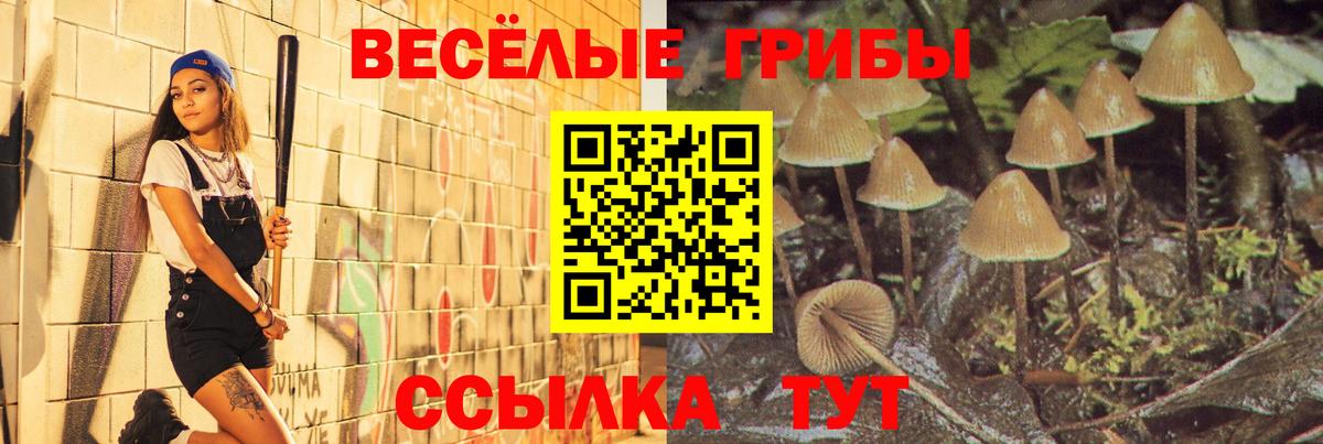 Галлюциногенные грибы MAGIC MUSHROOMS Миасс