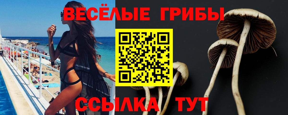 Миасс  Галлюциногенные грибы ЛСД  магазин  наркотиков  Вход с VPN 